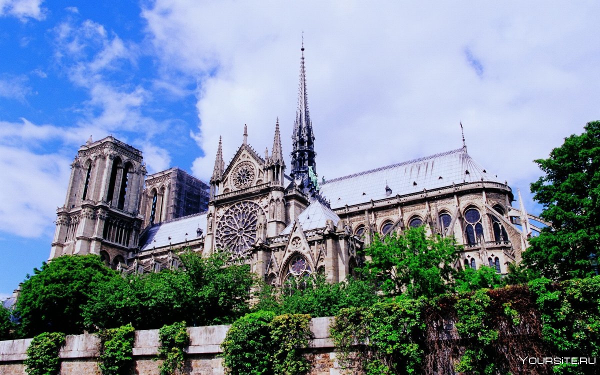 Река в Париже у собора Парижской Богоматери
