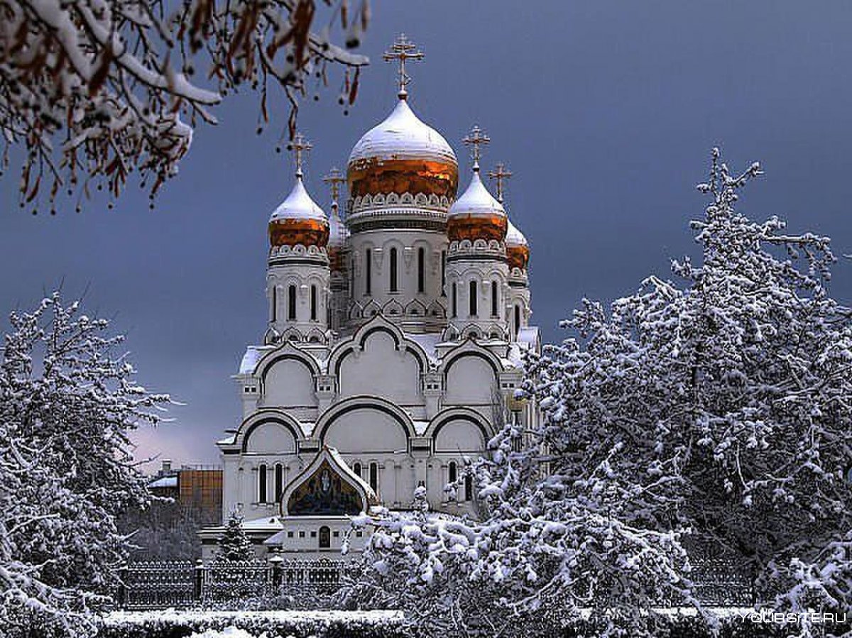 Домовая Церковь Александра Невского Тольятти