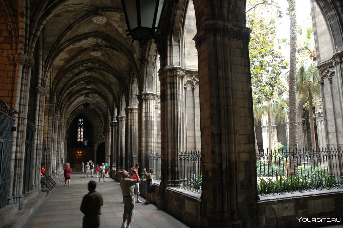 Барселона кафедральный собор в готическом квартале