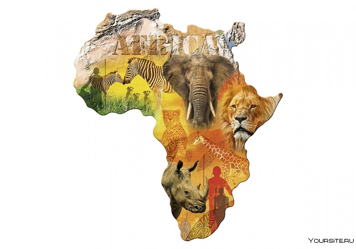 Африка Африка Волшебный Континент