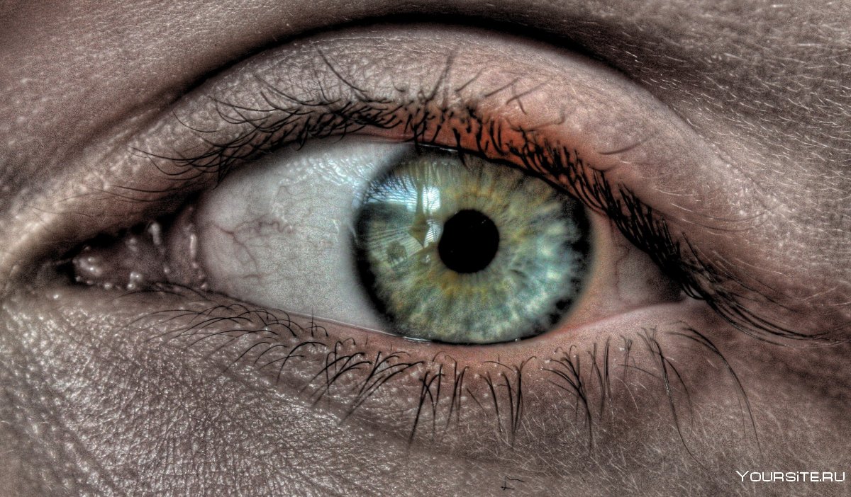 Человеческий глаз HD