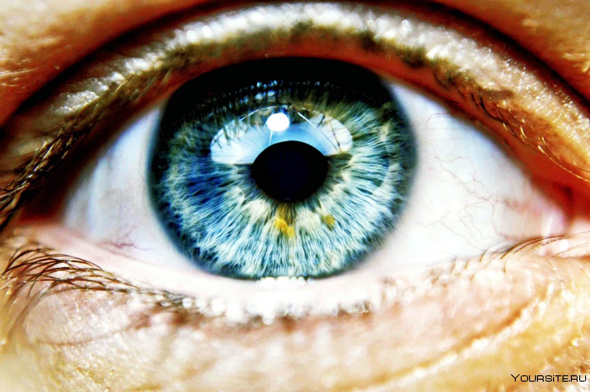 Здоровый глаз человека
