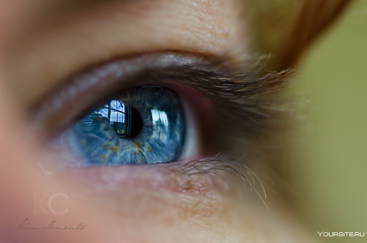 Макросъемка голубого глаза человека