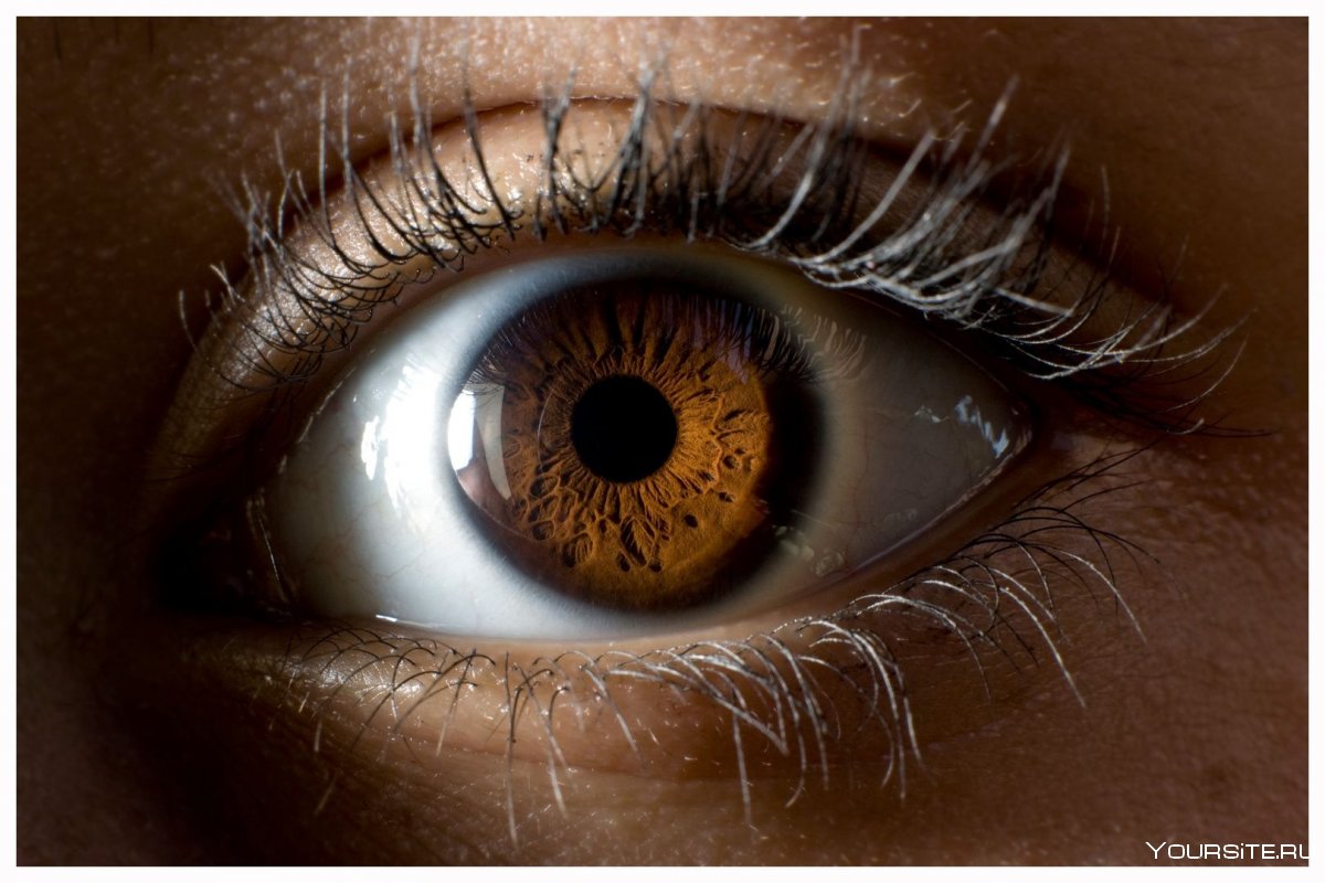 Эстетика коричневых глаз