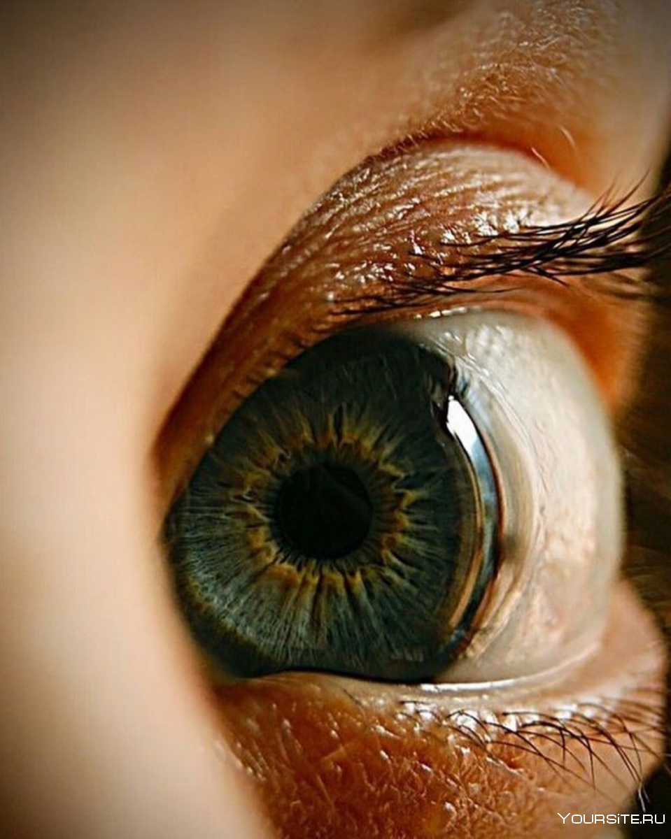 Глаза человека крупно. Глаза. Человеческий глаз. Красивые глаза. Глаз человека макро.