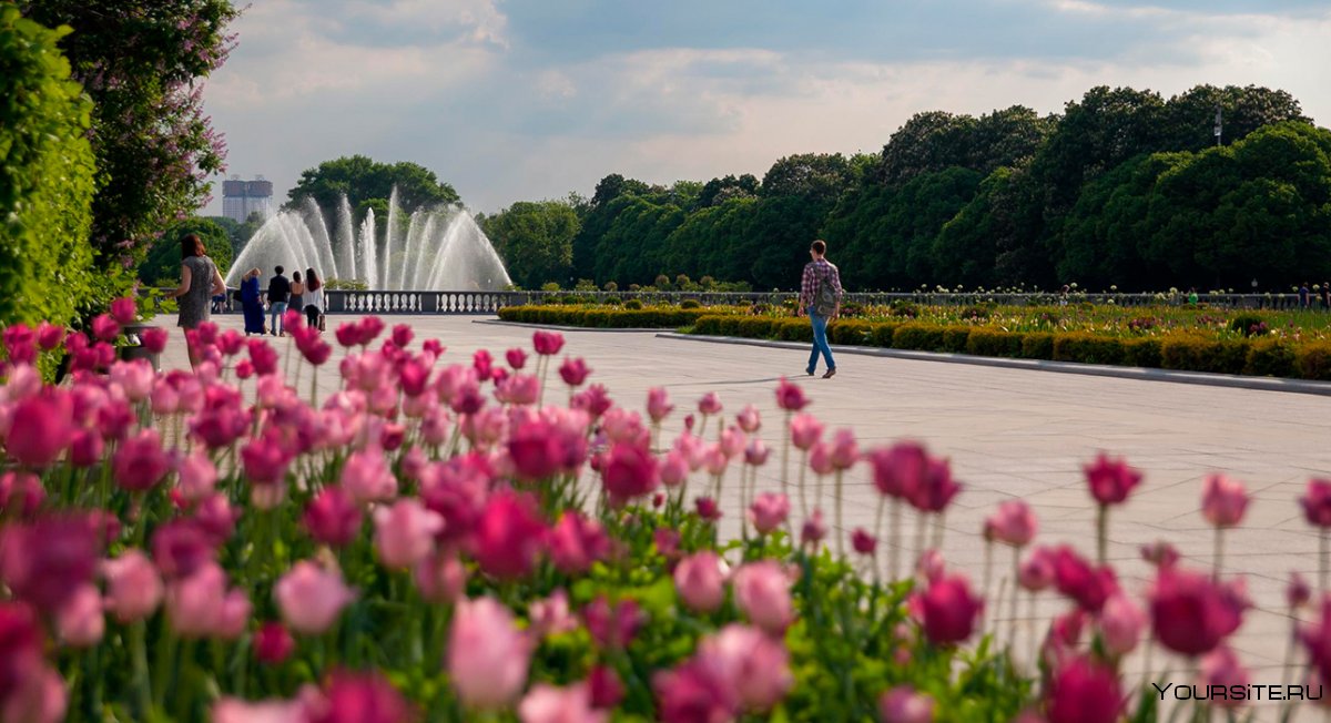 Самый красивый парк в Москве