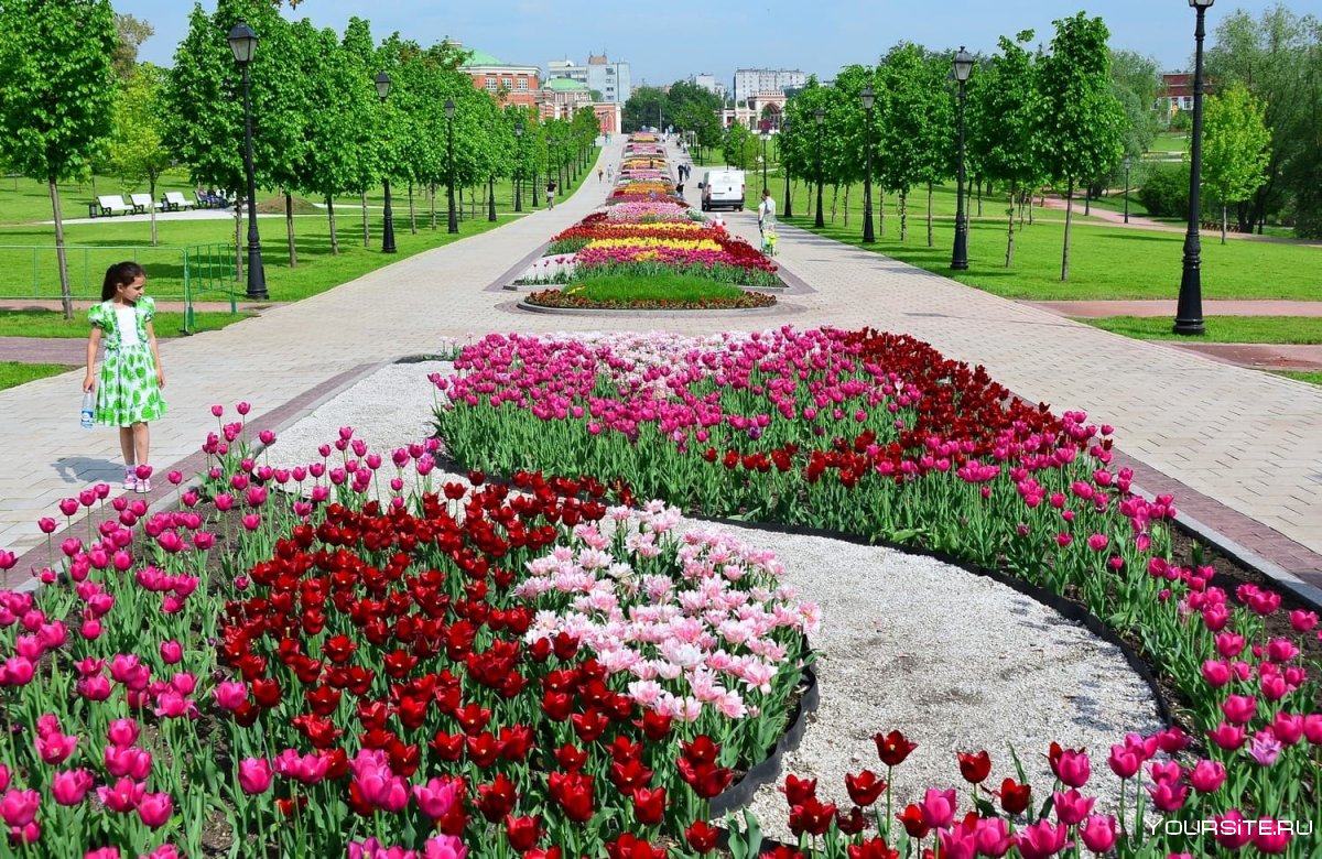 Царицыно цветы парк