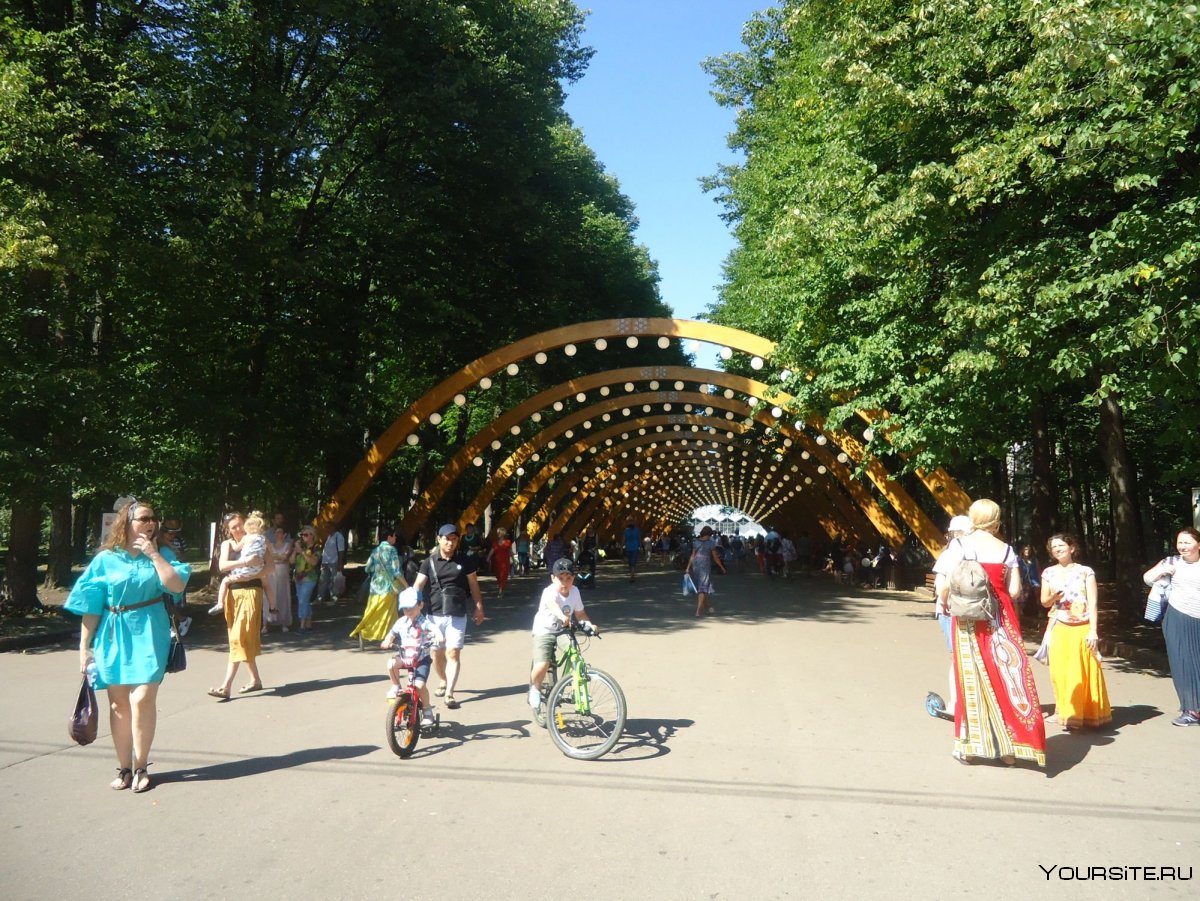 Парк Сокольники Москва лето
