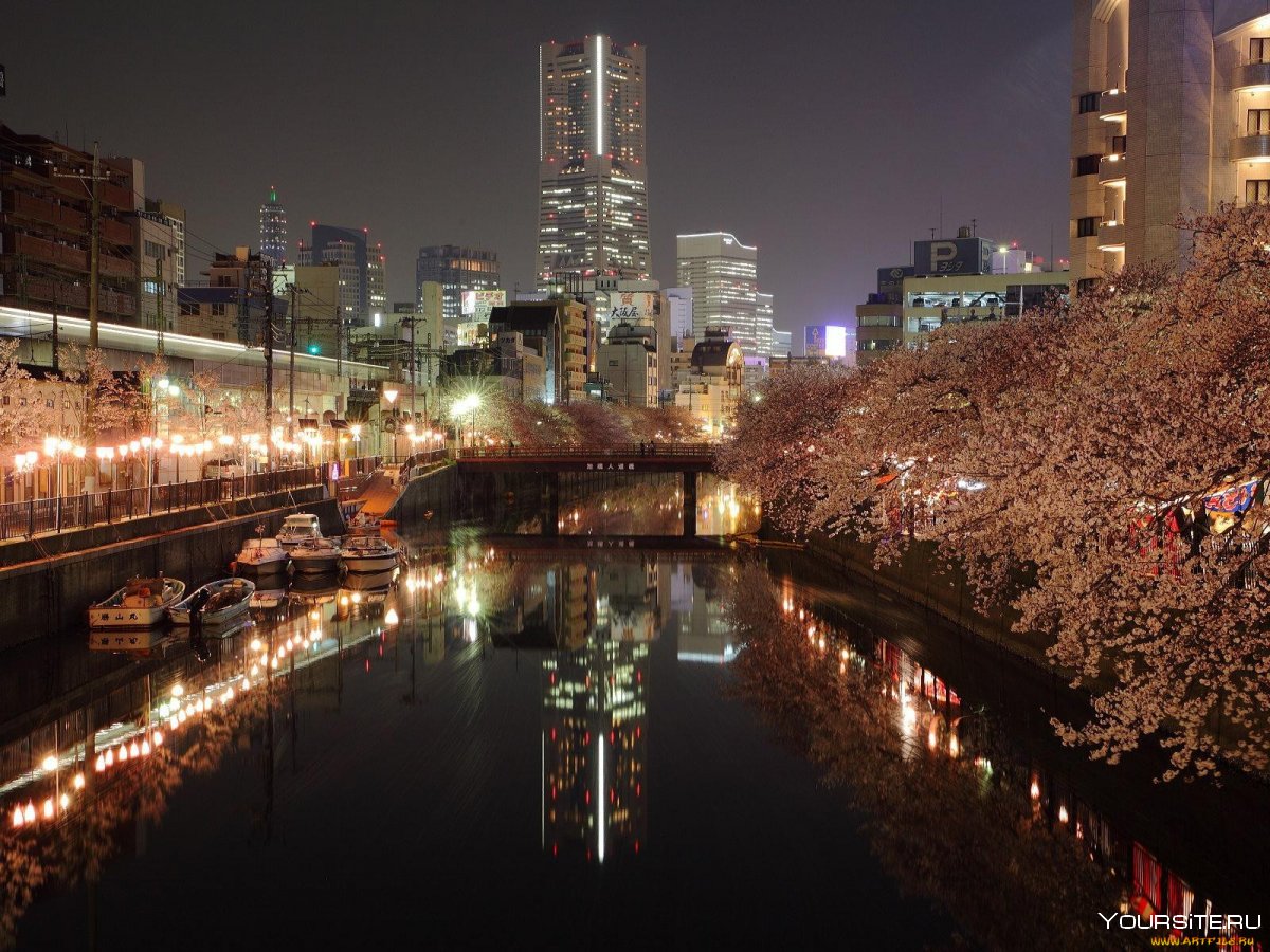 7. Токио, Япония: город