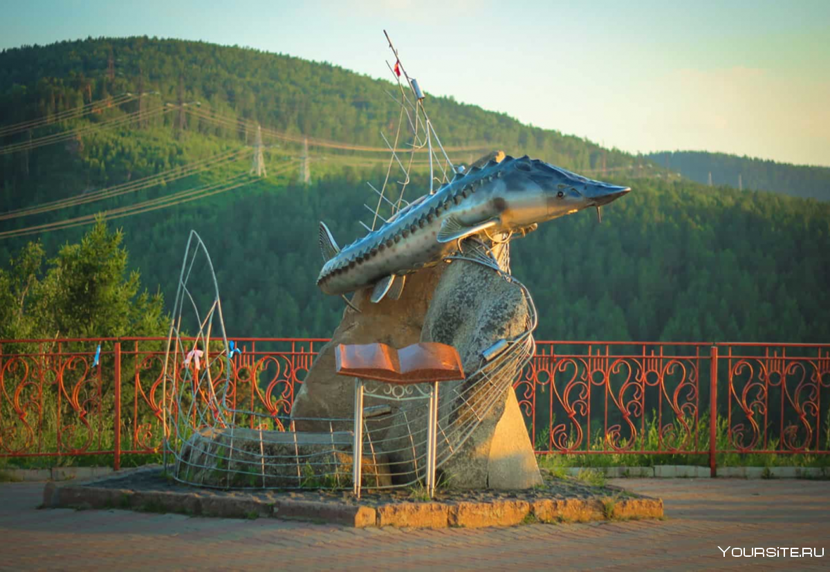 Площадка царь рыба Красноярск