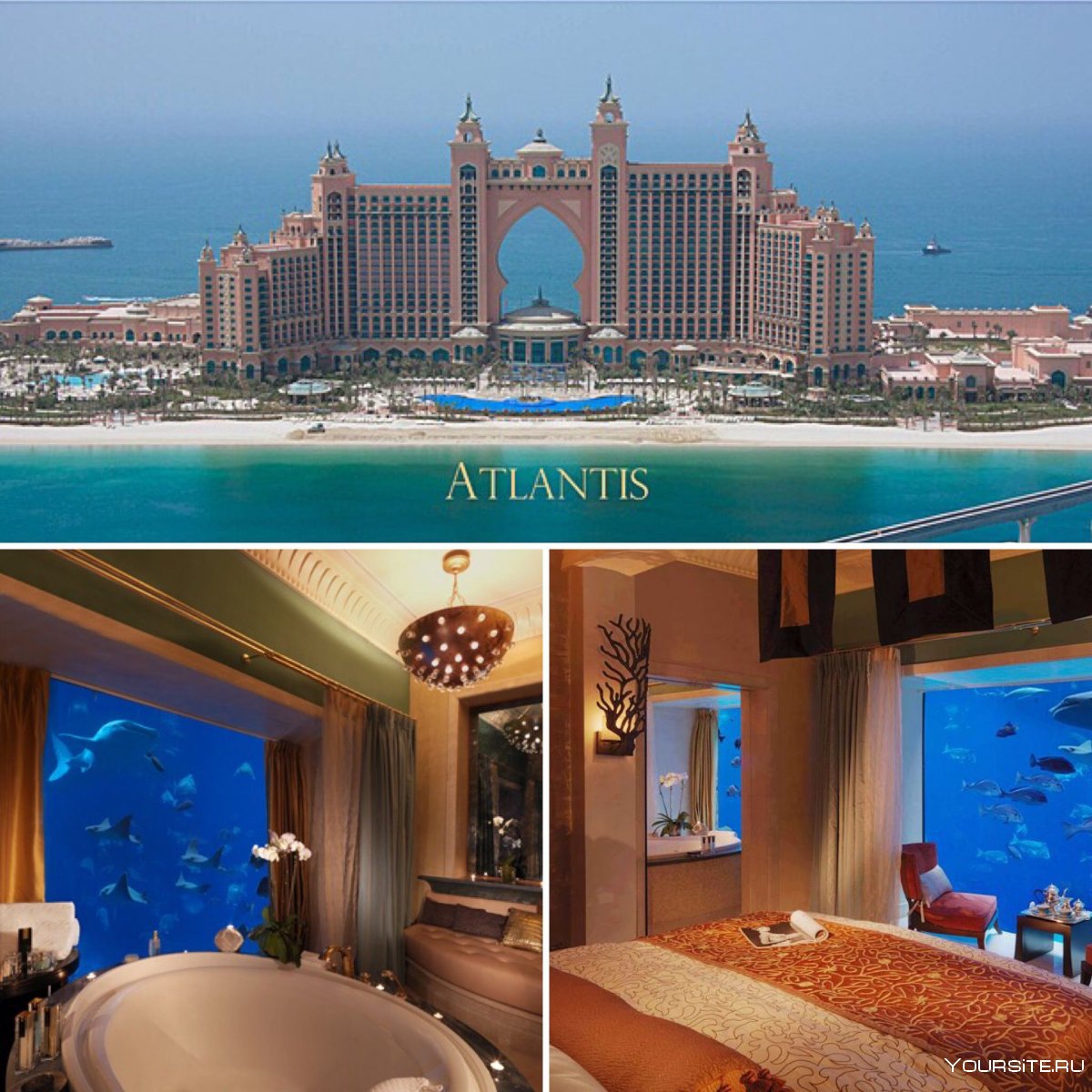 Отель Atlantis the Palm Дубай