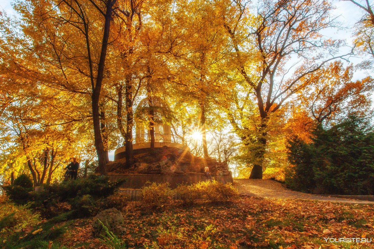 Осень парк солнце