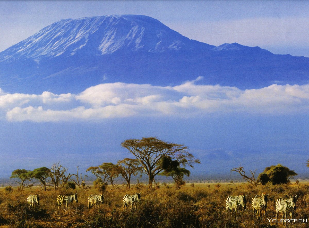 Танзания вулкан Килиманджаро