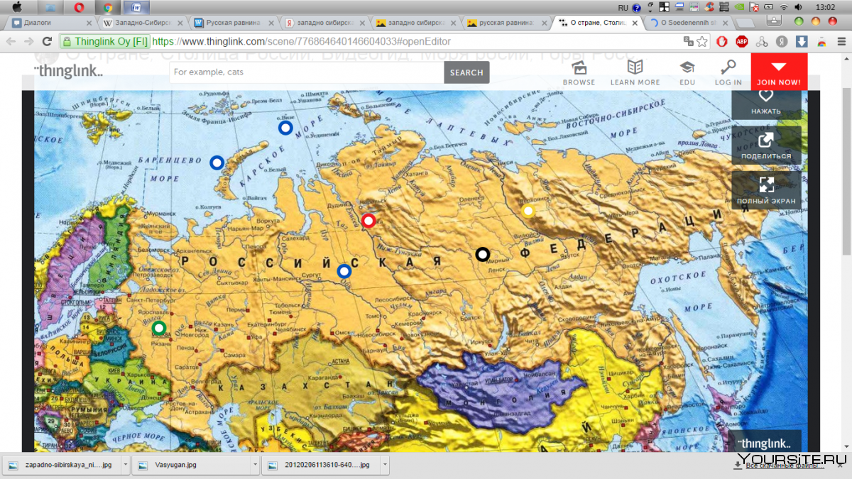 Карта России с границами других стран