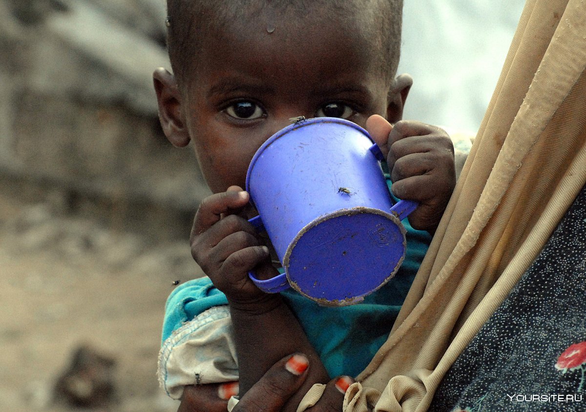 Фото голодающих в африке фото