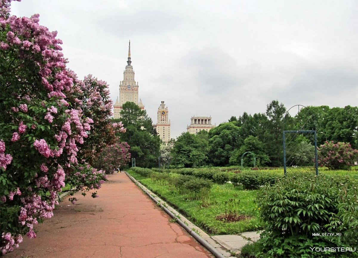 Ботанический сад Московского государственного университета, Москва