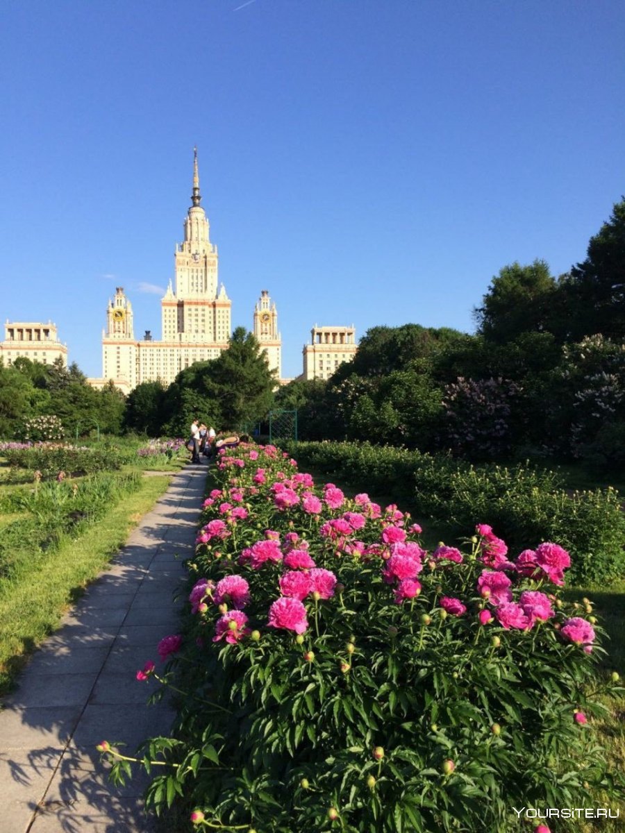 Московский Ботанический сад МГУ