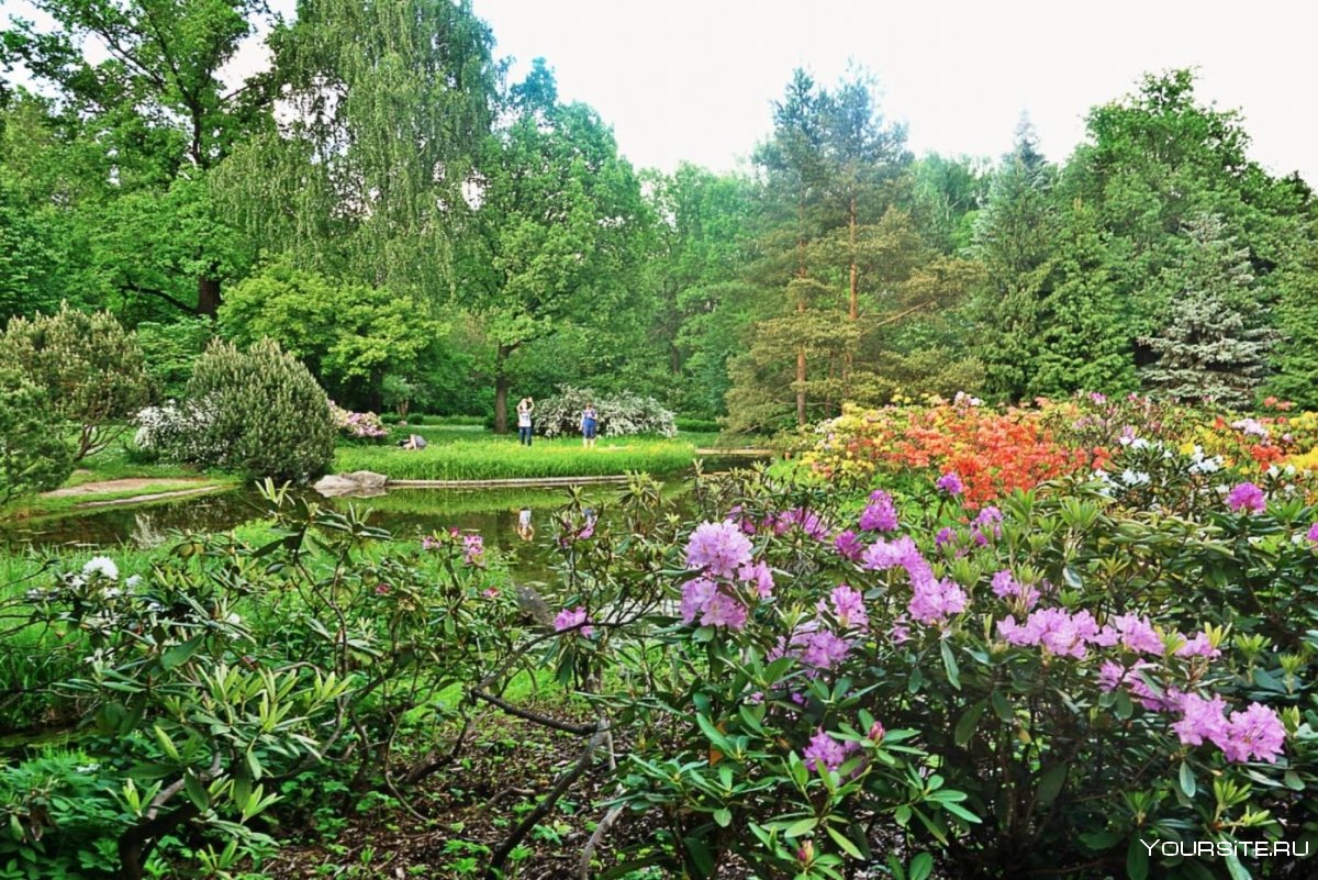 Ботанический сад МГУ Воробьевы горы