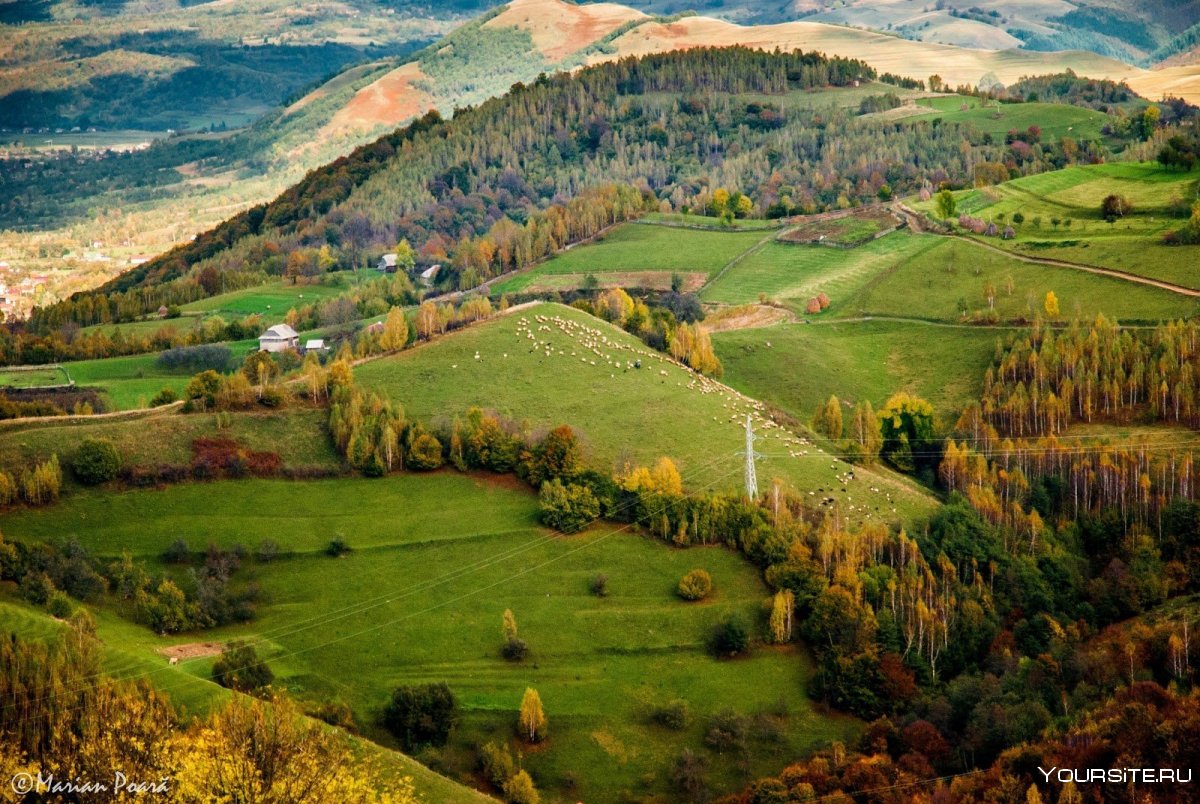 Гора Буковина Карпаты
