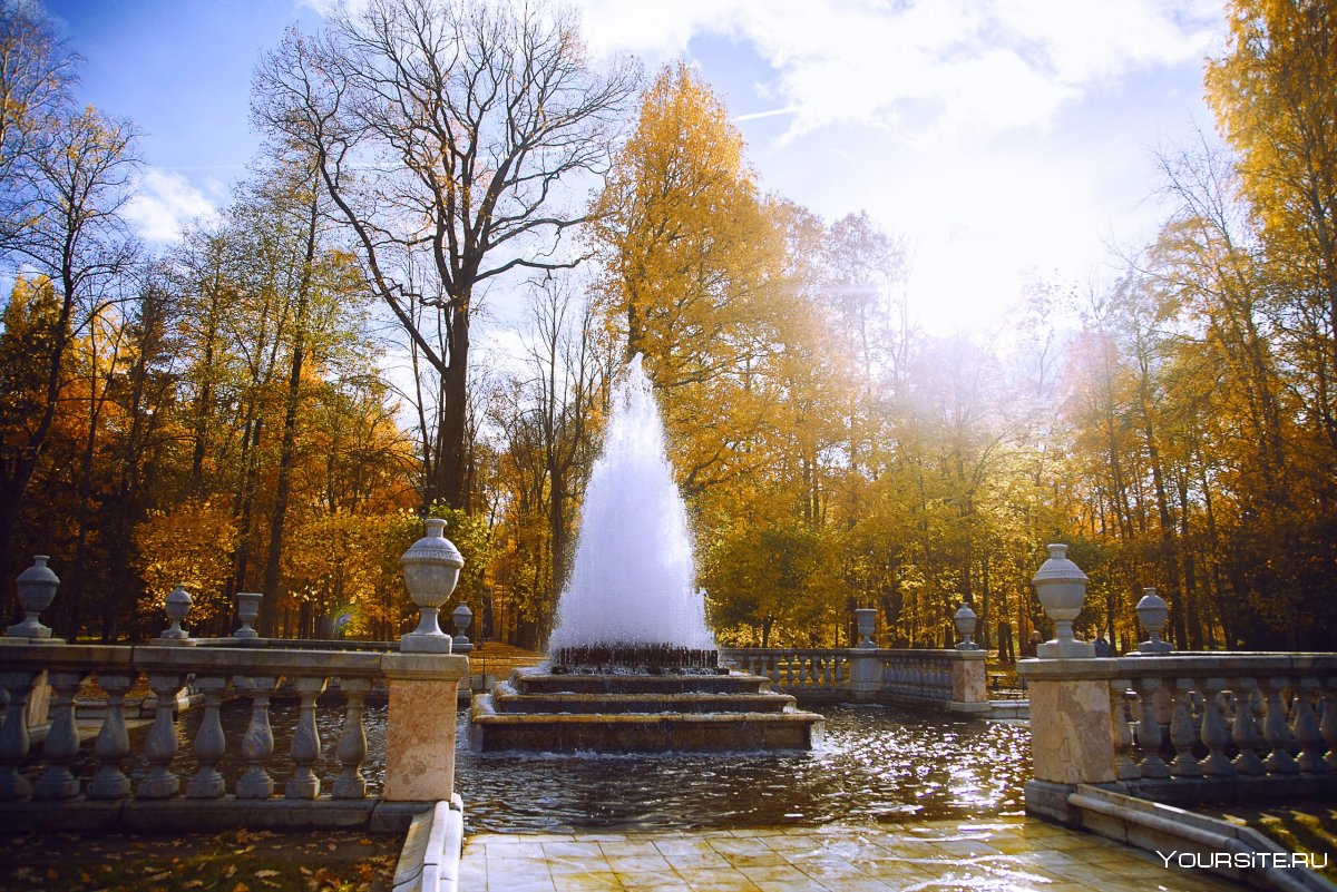Парк и фонтан осень Петергоф