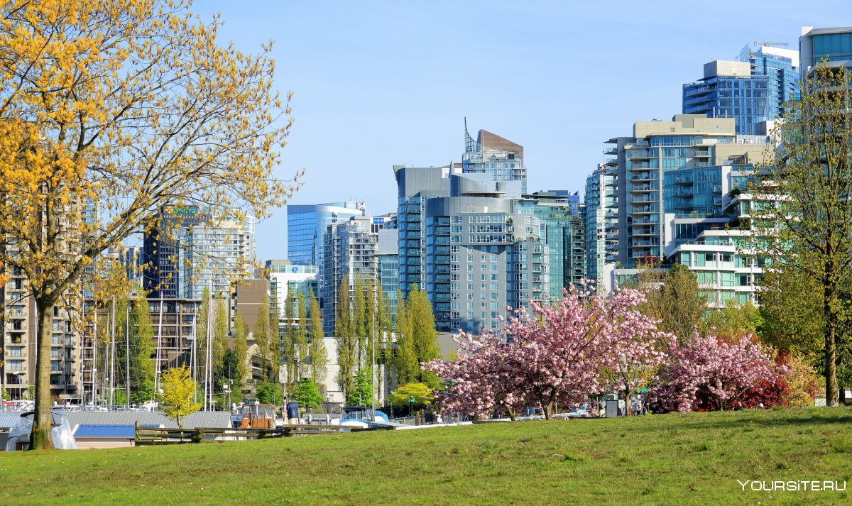 Ванкувер мультикультурный город
