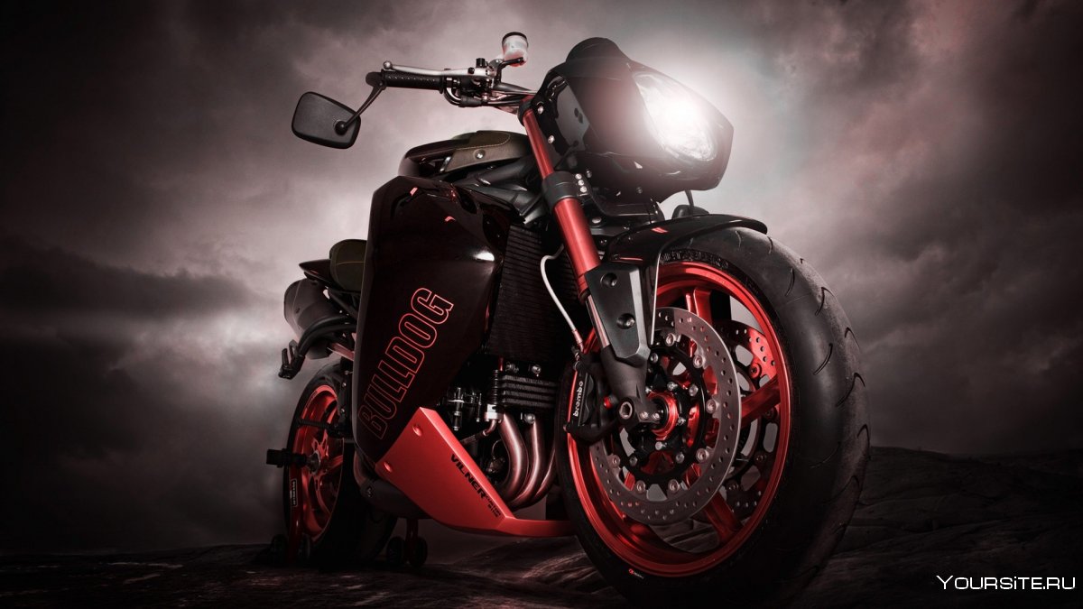 Triumph Speed Triple Bulldog