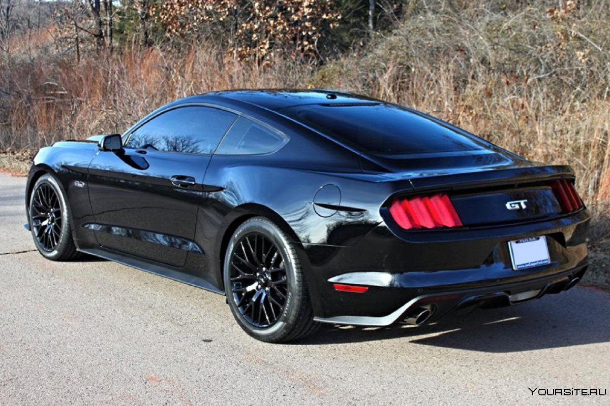 Ford Mustang 2018 Vinyl