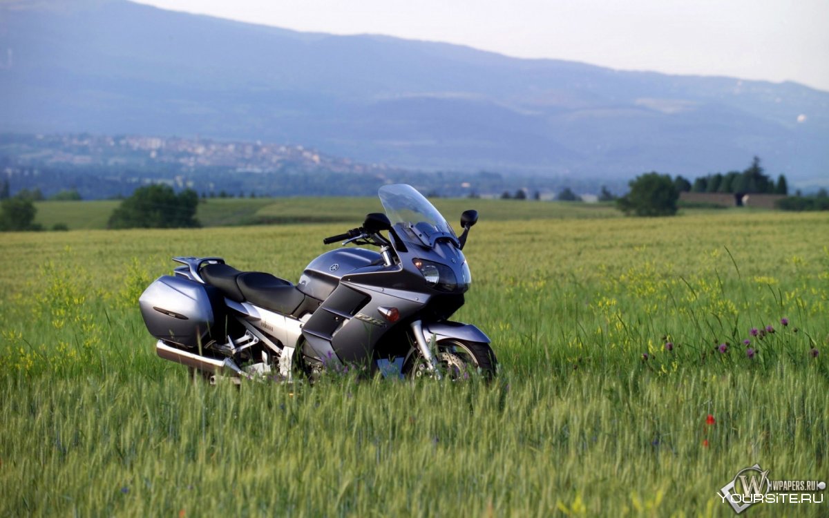 Мотоцикл в поле