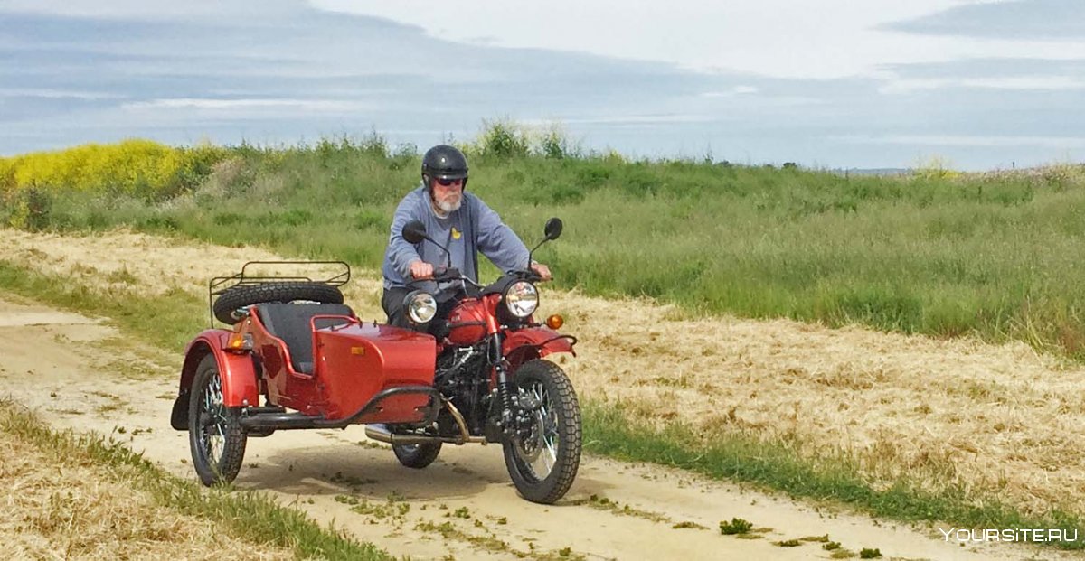 Мотоцикл Урал в лесу