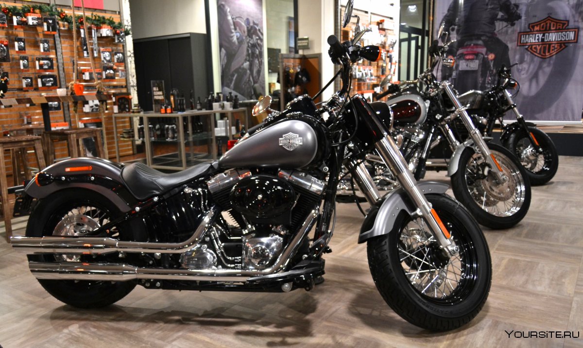 Harley-Davidson FLSTN