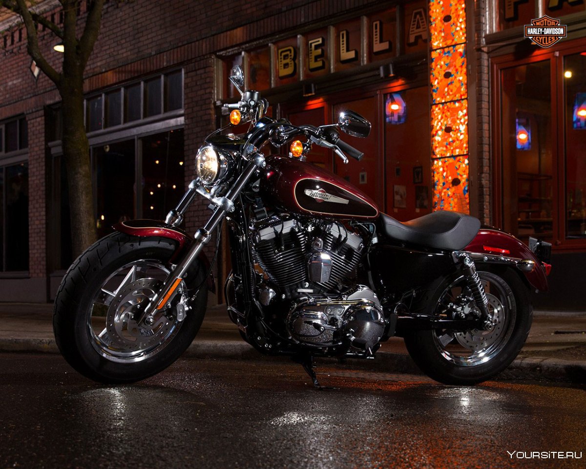 Harley-Davidson 1200 Sportster Custom 2015