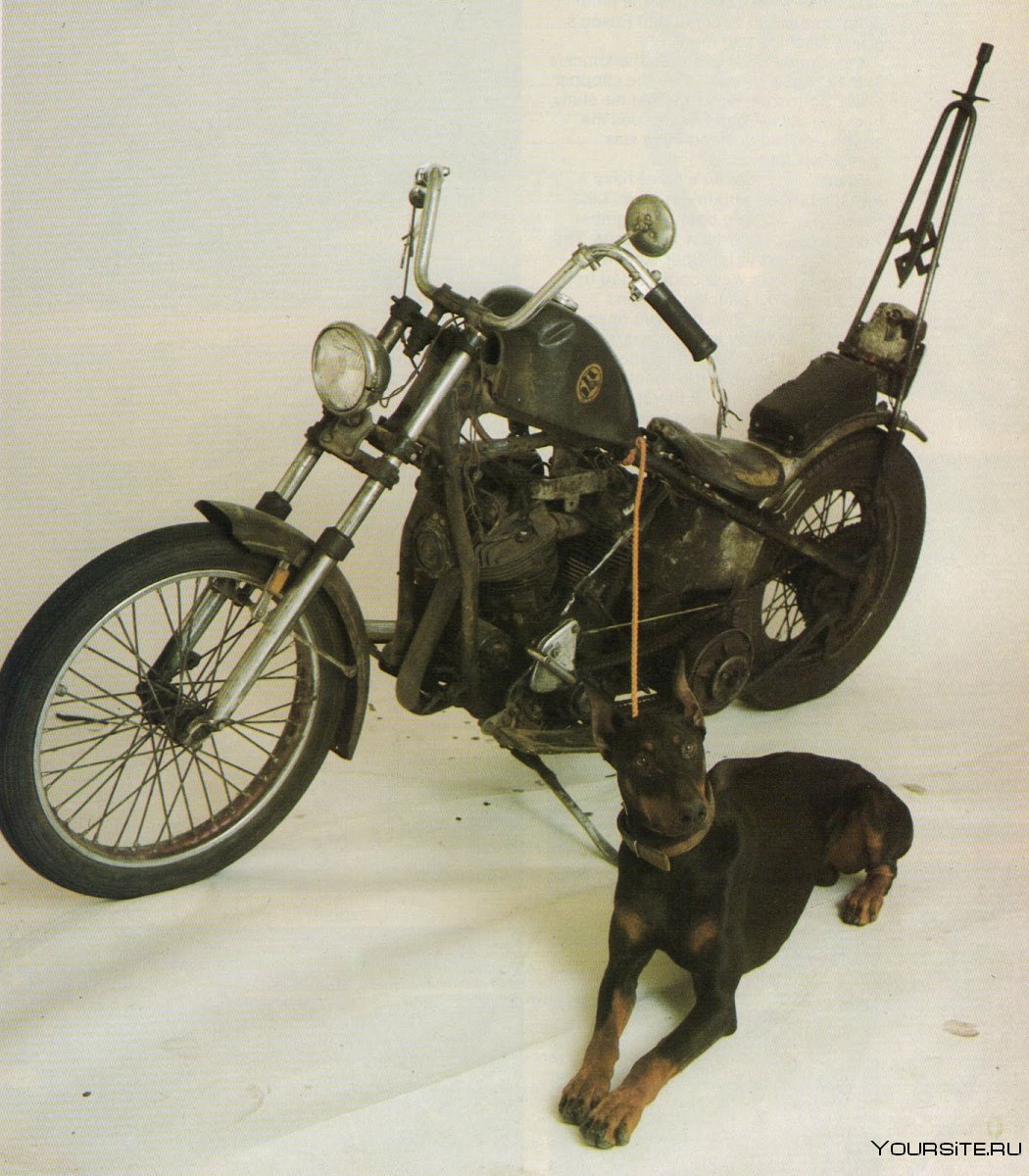 Питерская крыса мотоцикл