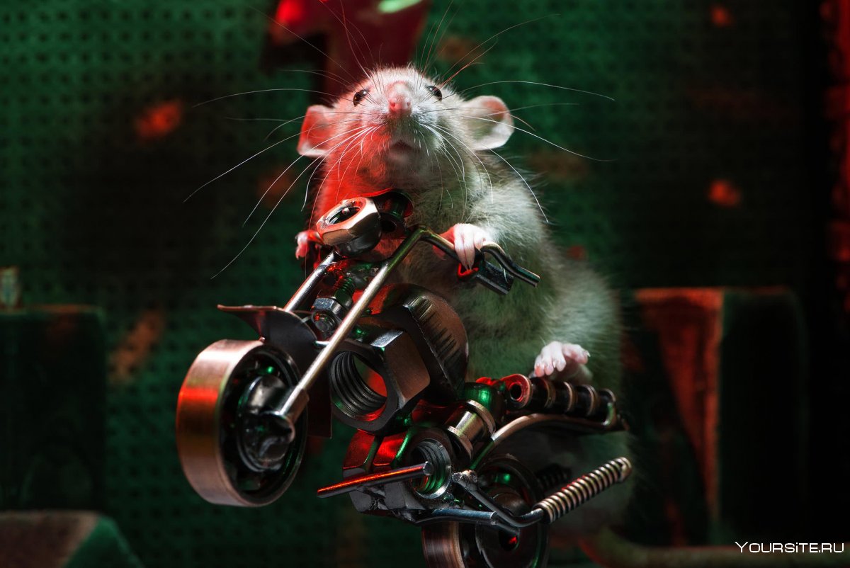 Мотоциклы крысы rat Bike