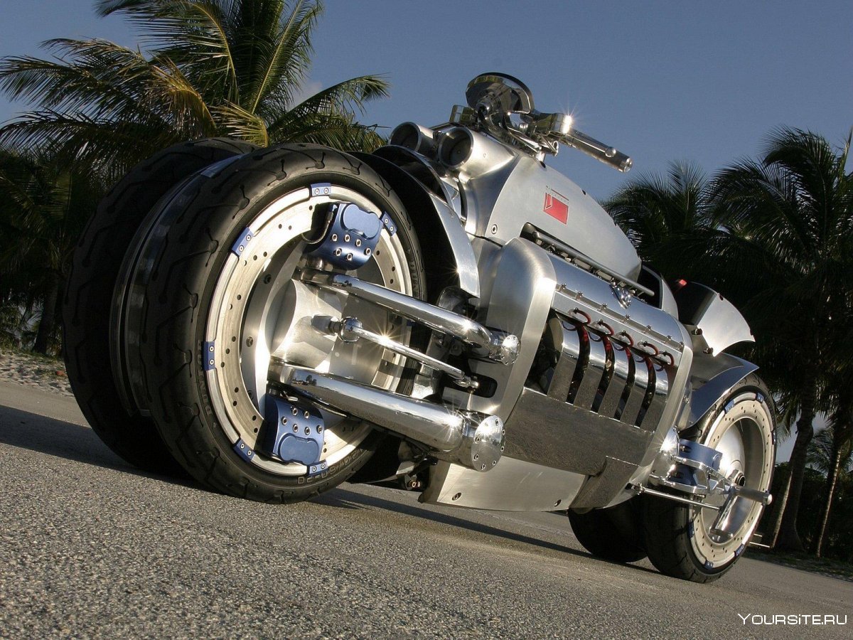 Harley Davidson v-Rex