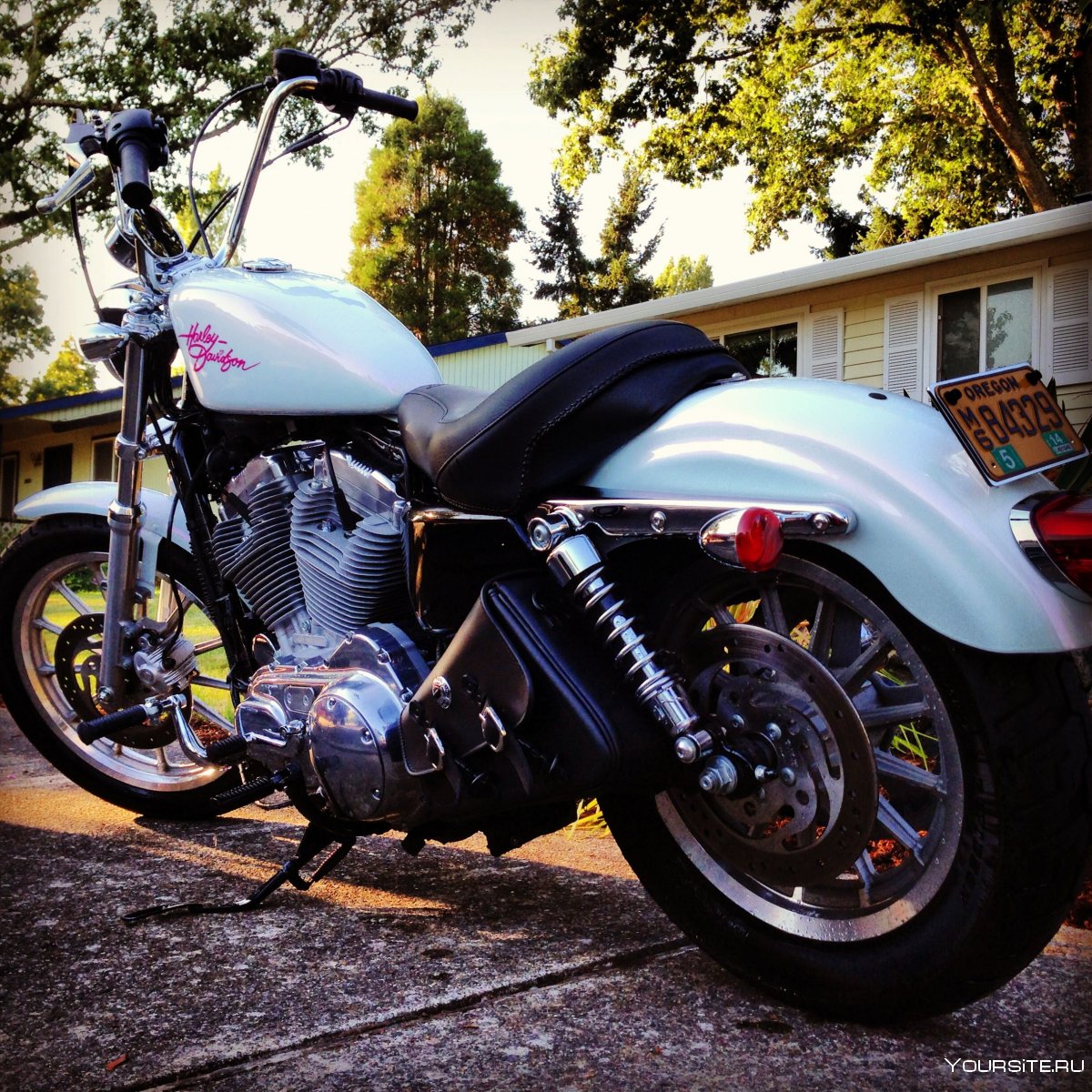 Harley Davidson Sportster 883