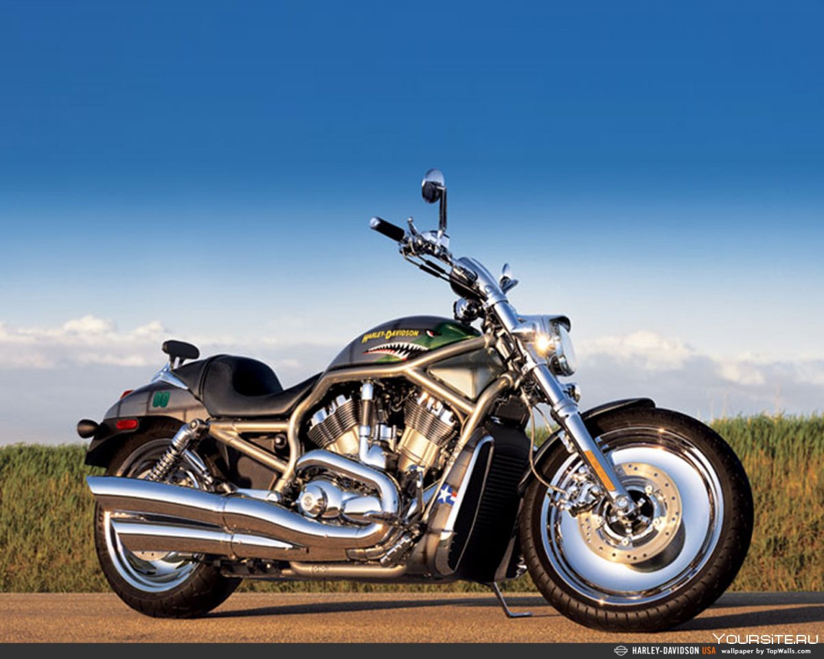 Harley-Davidson VRSC