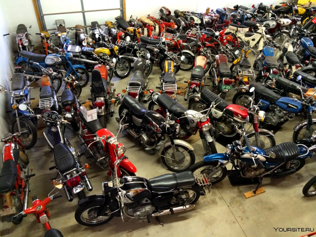 Много мотоциклов