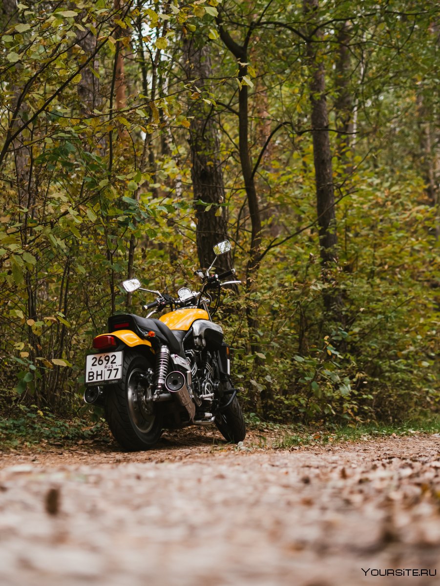 Лесной мотоцикл