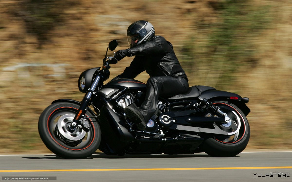 2007 Harley Davidson Night Rod