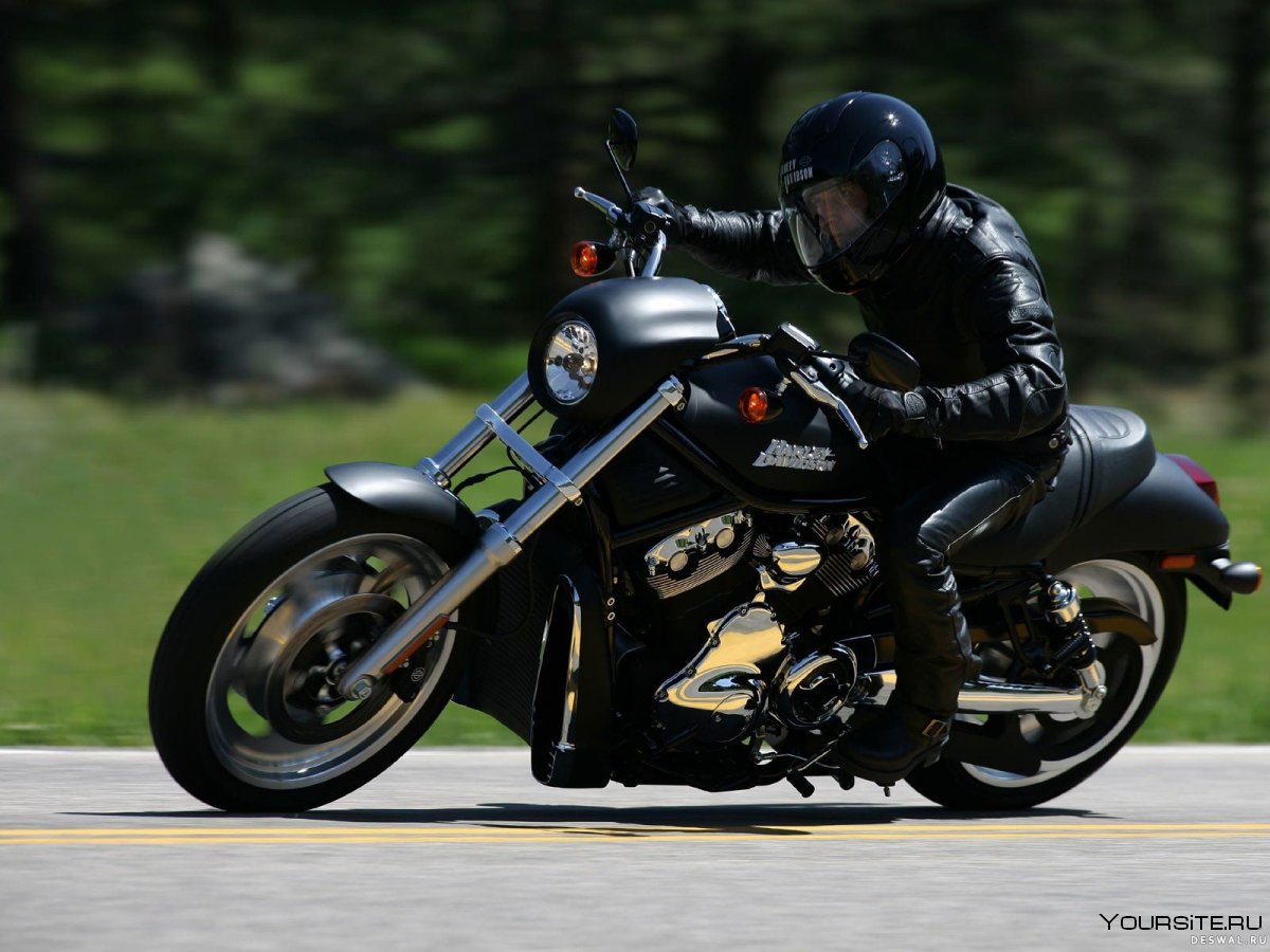 Харлей Davidson VRSC V-Rod