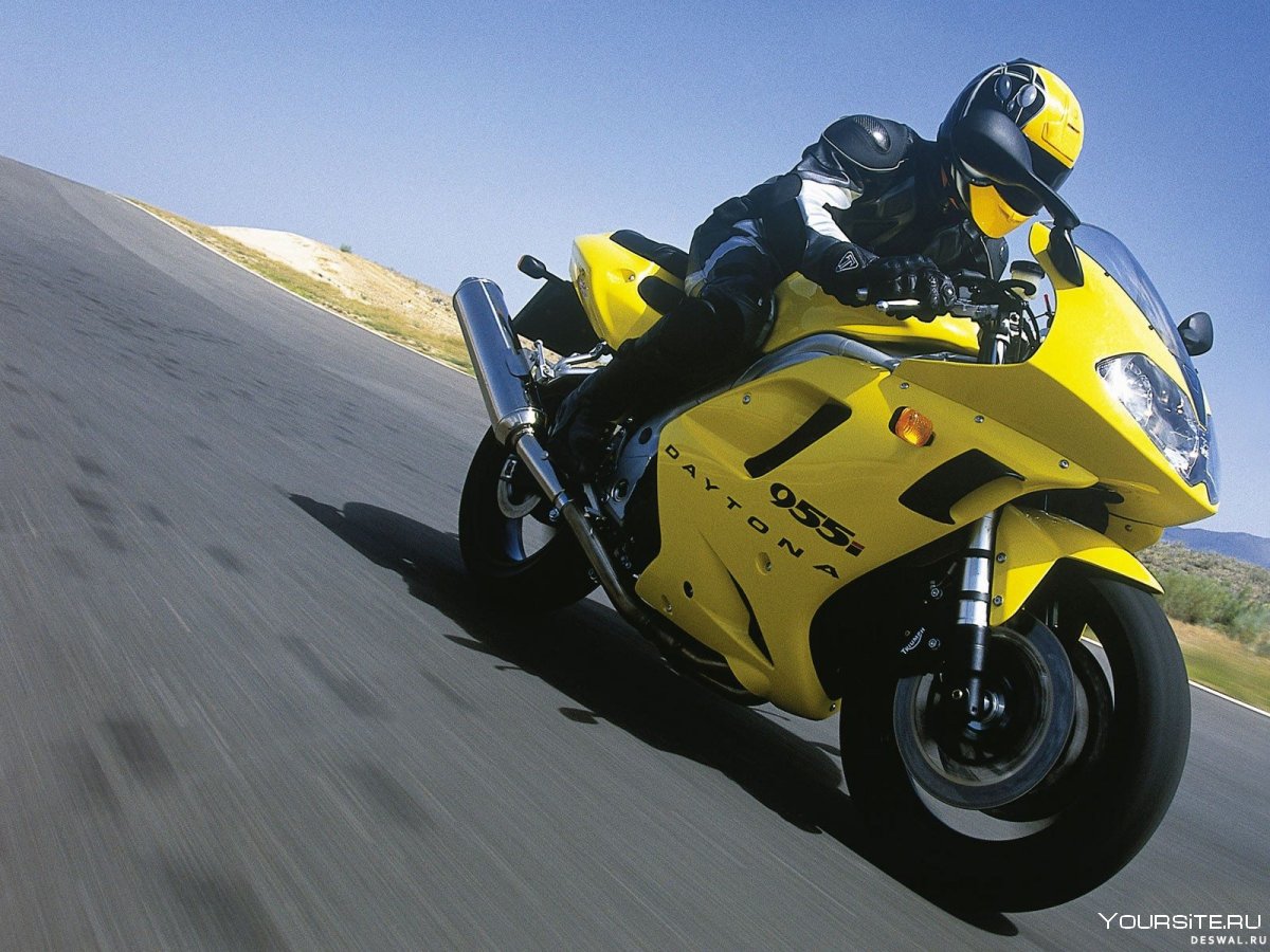 Triumph Daytona 955i