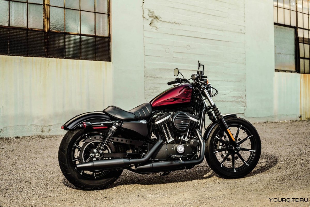 Harley-Davidson Sportster 883 2021