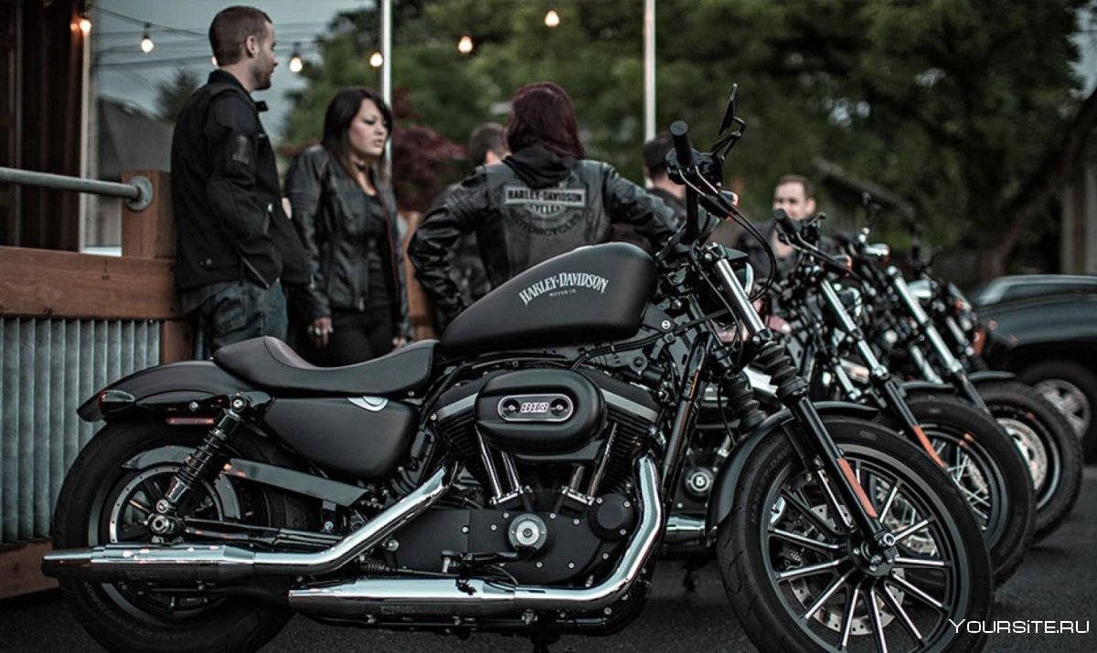 Davidson XL 1200x Forty-eight