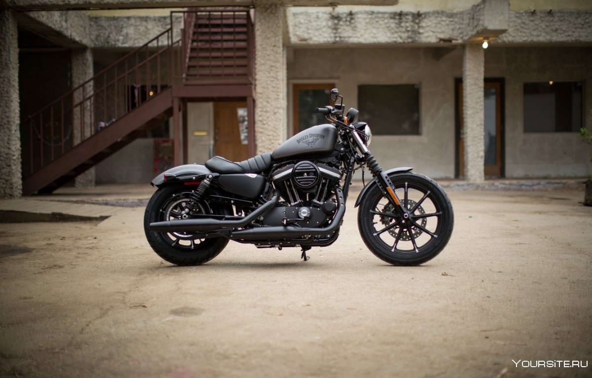 Harley Davidson Sportster 883 Iron