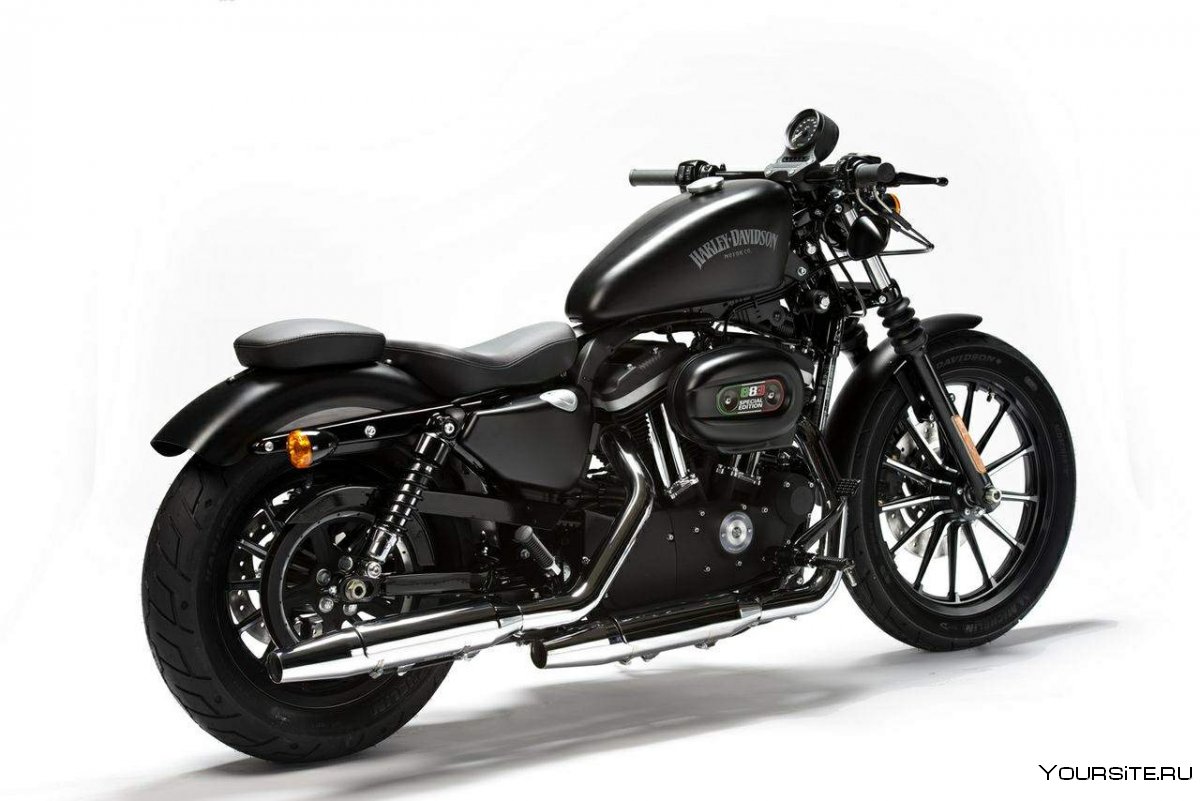 Harley Sportster 883