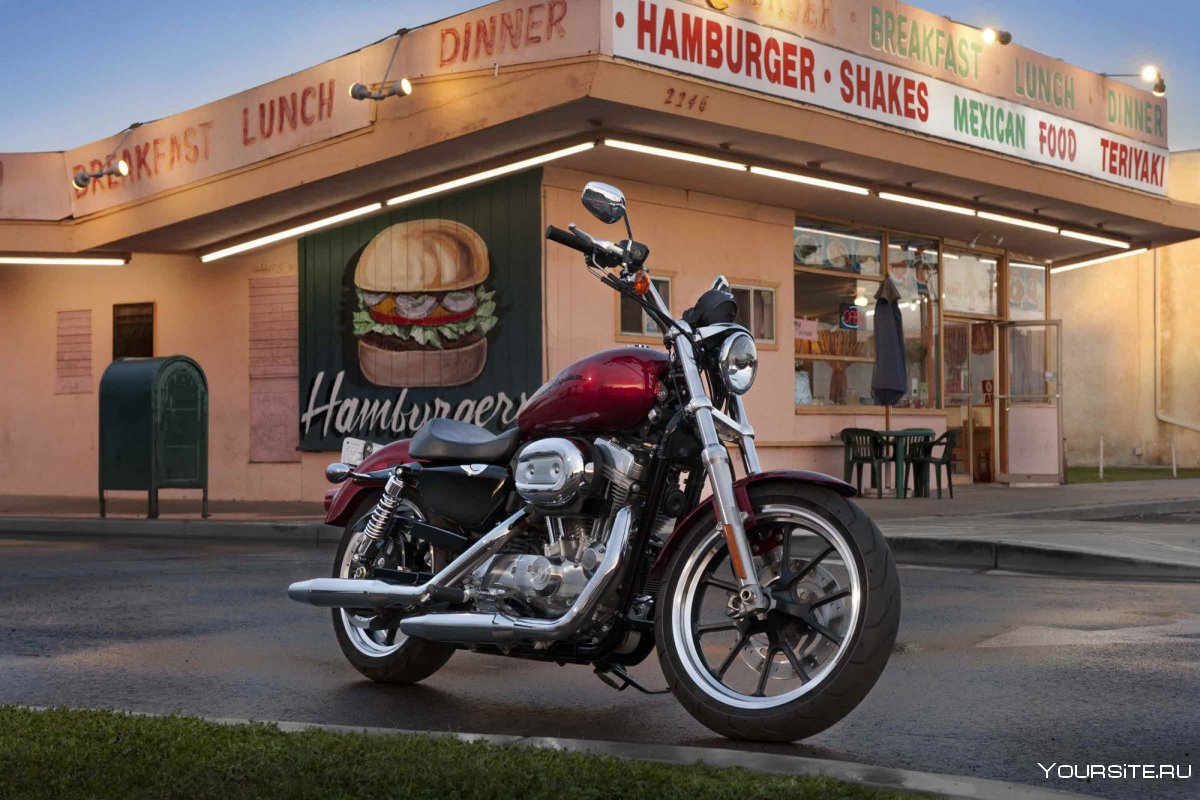 Harley Davidson Sportster 883 Iron