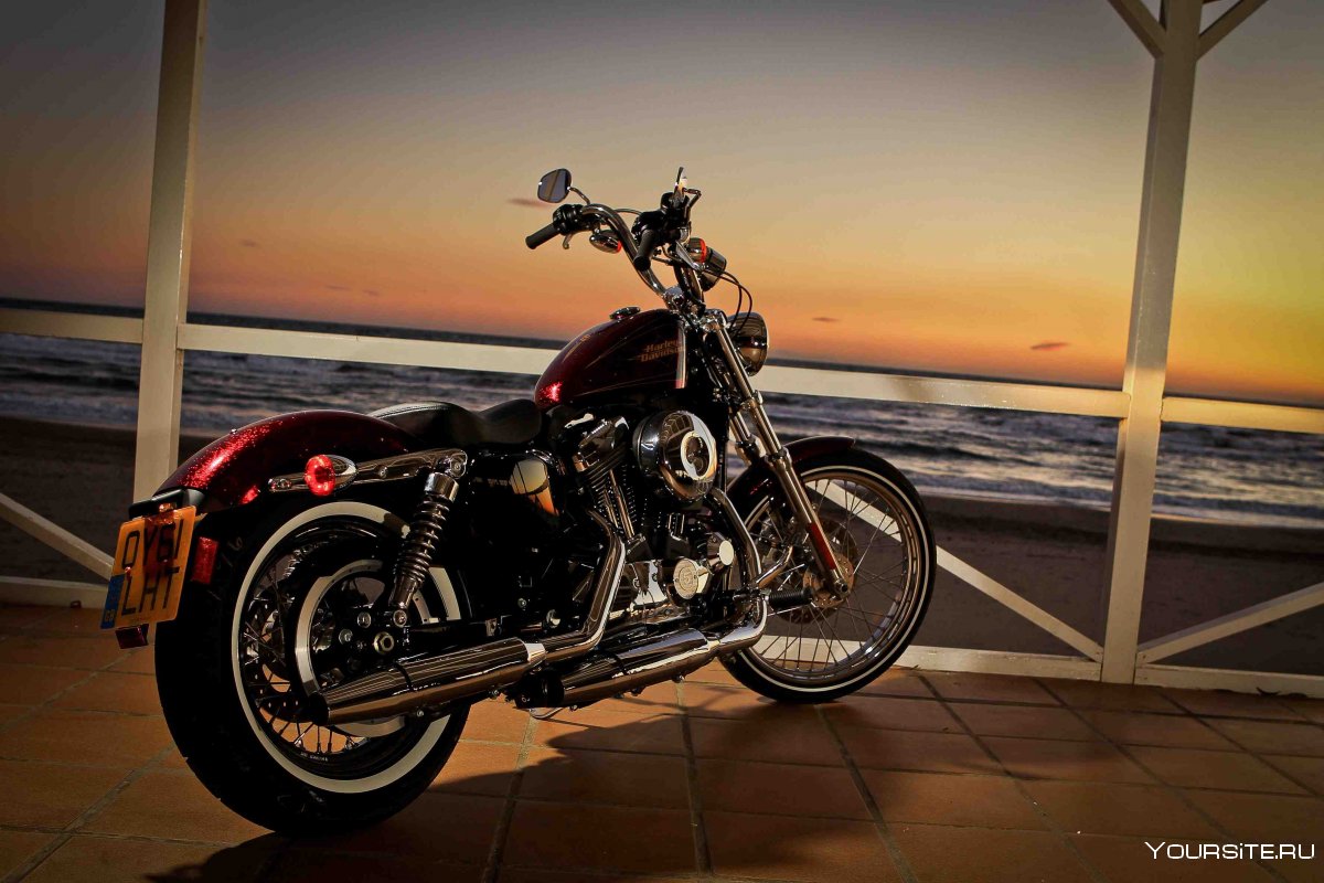Harley-Davidson Sportster xl1200v