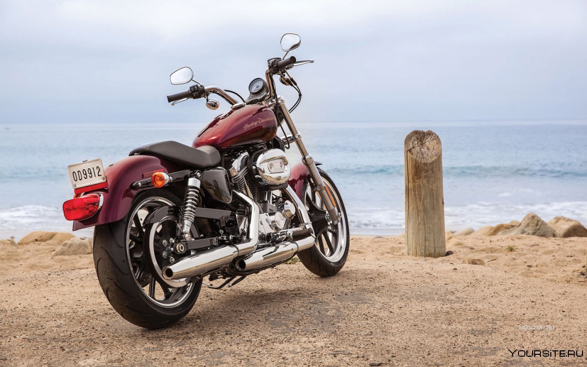 Harley Davidson Sportster 883
