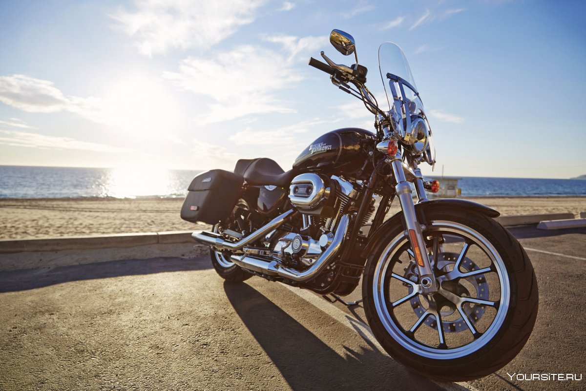 Sportster SUPERLOW 1200t