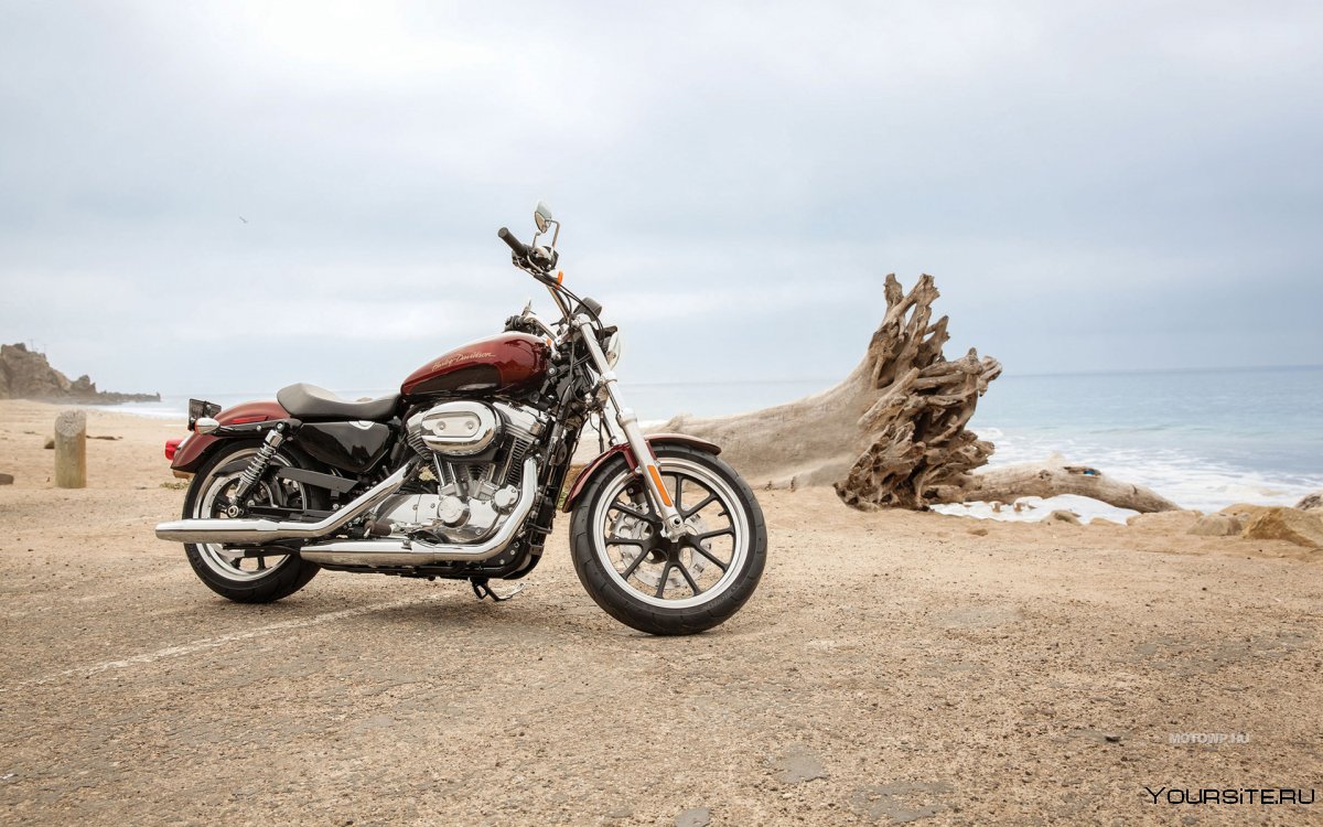 HD Sportster 883 SUPERLOW